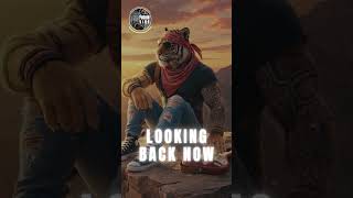 Looking Back Now  An Immersive Sonic Journey  Tg Fusion Vibe