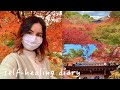 visiting top ranked autumn leaves spots in kyoto!
