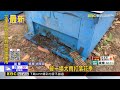龍眼花期錯亂又逢豪雨！苗縣蜂蜜剩不到去年2成@newsebc