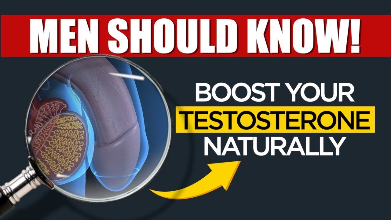 How to INCREASE Testosterone Naturally | Boost Circulation, Vitality ...