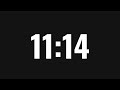 20 Minute Countdown Timer