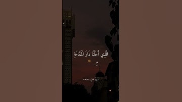 تلاوة خاشعة بدرالتركي#quran #المصحف #foryou #اكسبلور #funny #راحة_نفسية