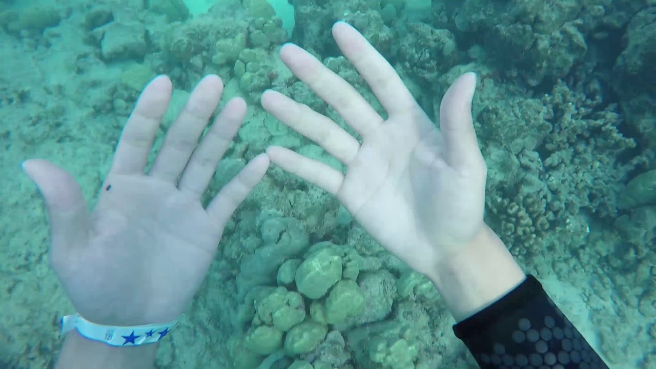 Hanauma Bay SCUBA Dive