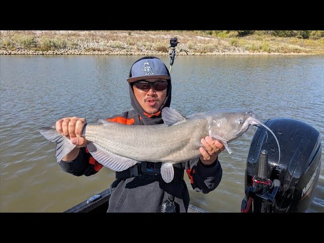 Trolling for Fall Channel Catfish 