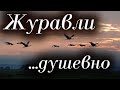 Великолепное стихотворение Дмитрий Титов "Журавли" Читает: Городинец Сергей "Сентябрь. Он дорог мне"