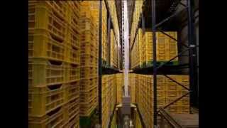Two automatic warehouse supply a new tomato distribution & packaging plant - Interlake Mecalux