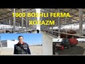 1000 boshli ferma. XORAZM. Quruq go'ng separatori.