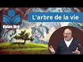 Larbre de la vie  cours de torah du rav yoel benharrouche