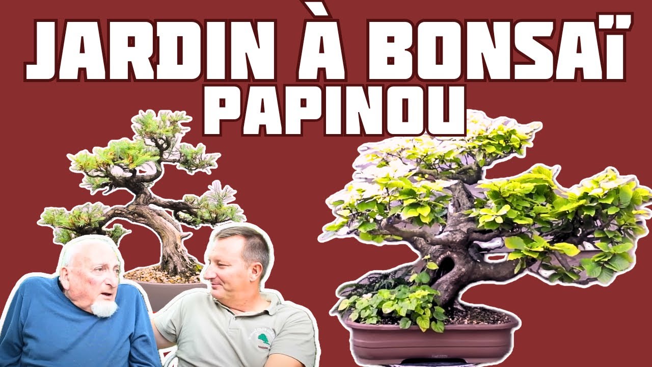 PROMENADE dans Le JARDIN à Bonsaï de PAPINOU 🌱 NEJIKAN BONSAI 🌱