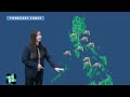 Public Weather Forecast issued at 5:00 AM | May 16, 2026 - Saturday
