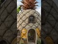 Pineapple house in the forest #transformation #build #abandoned