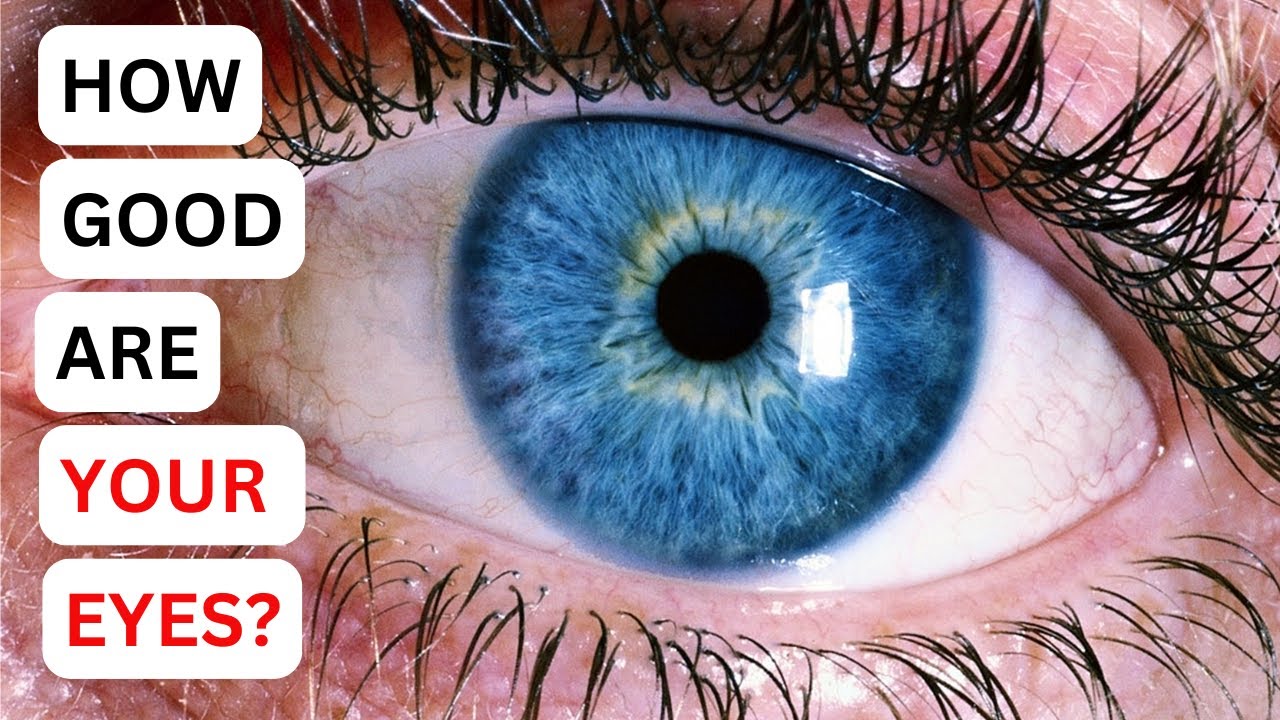 Find Odd Colour Out | How Good Are Your Eye Check It Here | Color ...