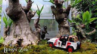 My Bonsai Bench Tour, The Bonsai Zone, July 2026