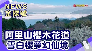 全台賞櫻趣| 阿里山國家風景區天空步道阿里山工作站櫻之道 ... 