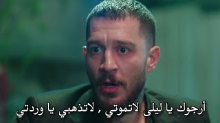 مسلسل ثلاث قروش الاعلان 2 الحلقة 22 مترجم