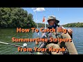 How to catch big summertime stripers from your kayak