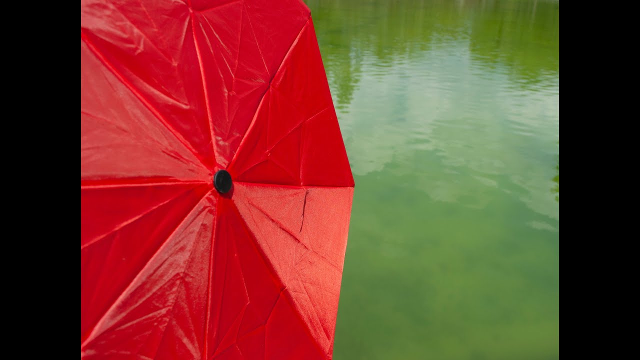 Red Umbrella vs Malevich's Black Square