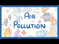 The Impact of Fossil Fuel Combustion on Air Quality and Human Health
