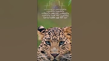 #قرأن _كريم # #فلسطين #المغرب#أحداث_الساعة #قران_رقم_1 #دعاء #القدس #مصحف_التجويد @الجميع