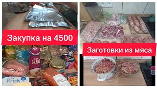 ✅ЗАГОТОВКИ ИЗ МЯСА В МОРОЗИЛКУ/ЗАГОТОВКА ПОЛУФАБРИКАТОВ/ЗАКУПКА ПРОДУКТОВ В СВЕТОФОРЕ НА 4500