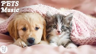 Healing Music For Stressed Dog & Cat! Music That Give COMFORT To Pet |Anxiety Relief, Deep Sleep