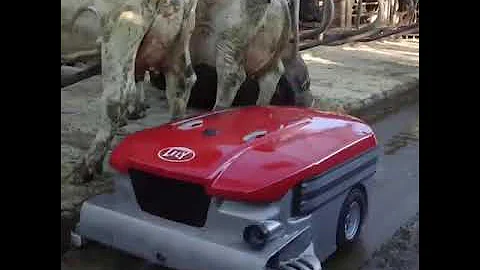 This robot vacuums cow dung and keeps the pen clean