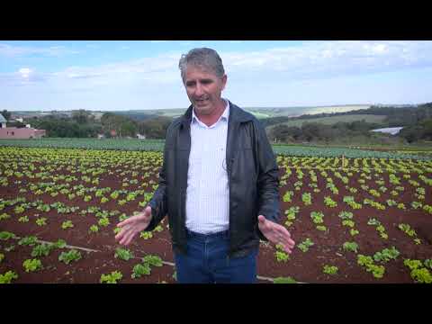 Vídeo: Perfil De Taninos, Propriedades Antioxidantes E Atividade Antimicrobiana De Extratos De Duas Espécies Mediterrâneas De Plantas Parasitárias Cytinus