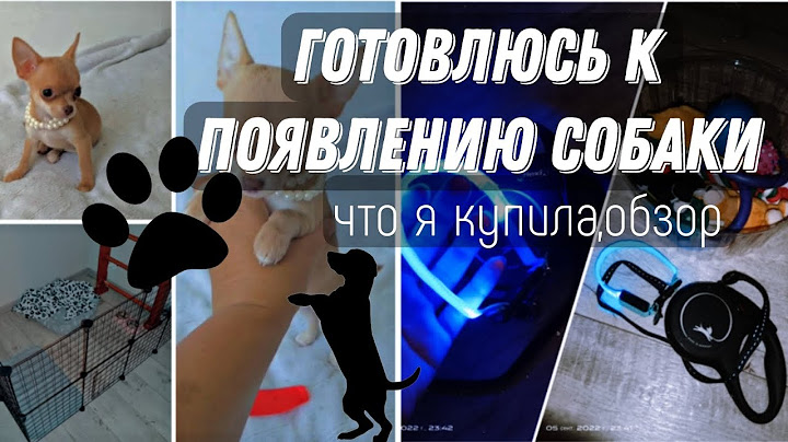 готовлюсь к появлению собаки | обзор покупок