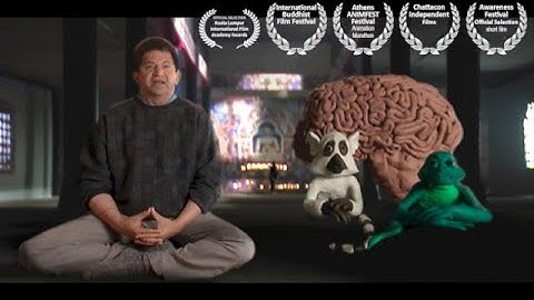 Mindfulness and The Triune Brain