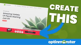How to Create a Black Friday Banner for your Website
