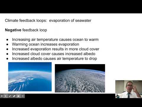 Video: Ce este o buclă de feedback negativ în sistemul climatic?