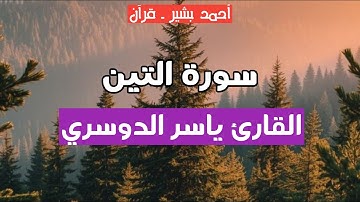 95 - القارئ ياسر الدوسري - سورة التين