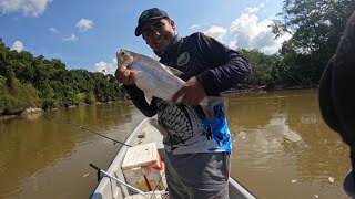 pesca río sogamoso (capturas diferentes peces)