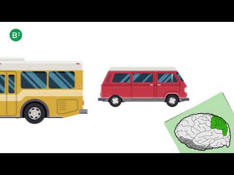 CVI At A Young Age Explanation For Adults 