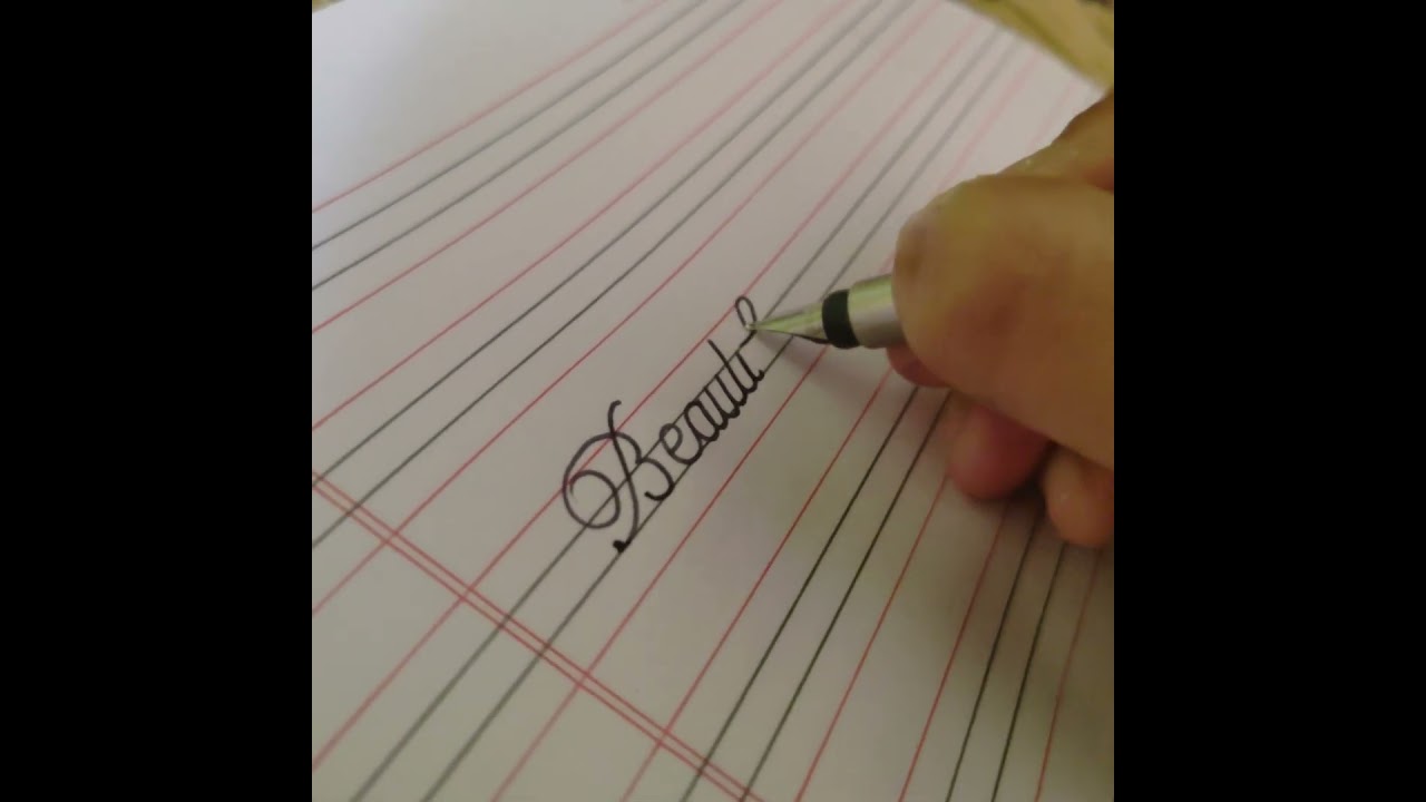 Parker vector standard fountain pen