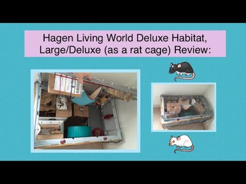 Hagen Living World Deluxe Habitat (as a rat cage) Review