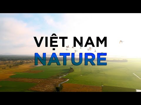 Video Thiên nhiên Việt Nam // VietNam Nature // Hachi8Media - youtube
