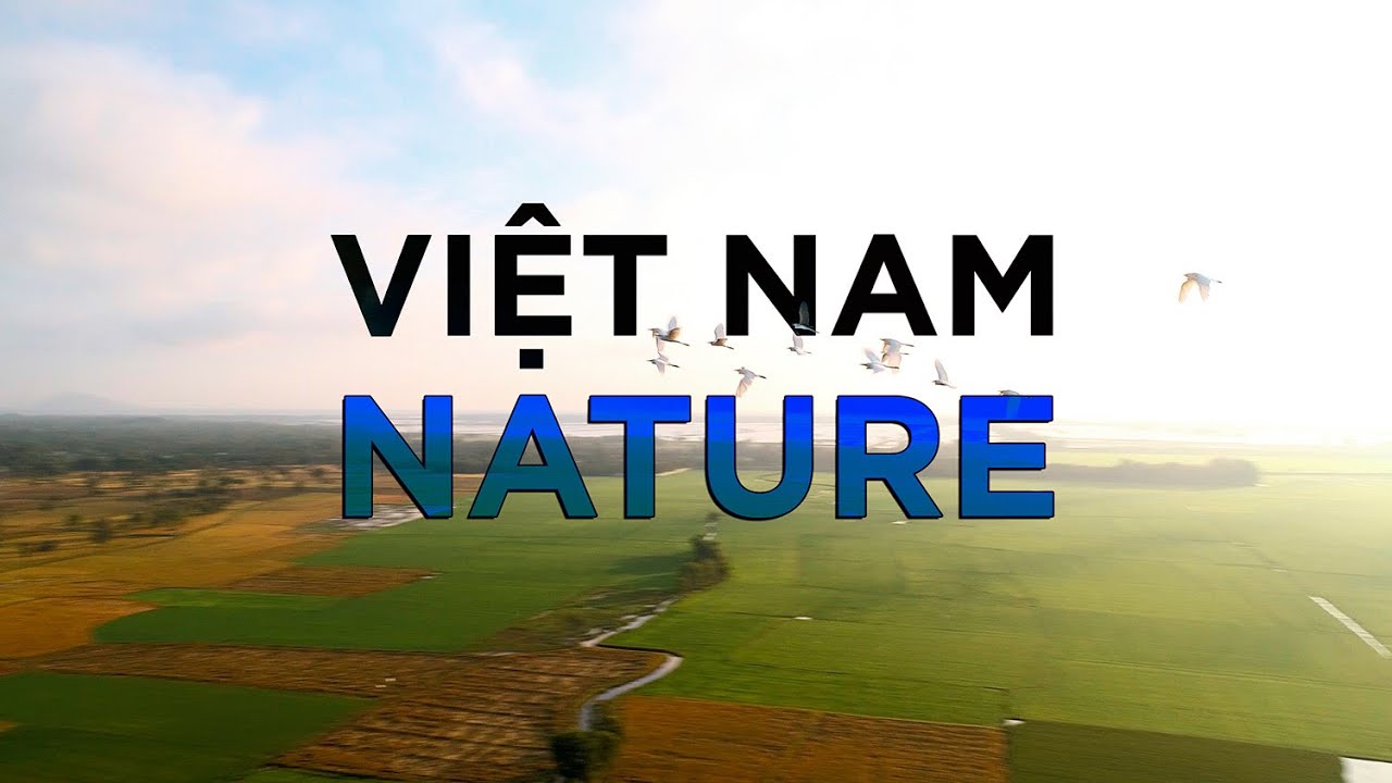 Thiên nhiên Việt Nam // VietNam Nature // Hachi8Media