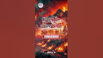 The Mysterious Factor Behind Carolina