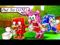 Amy & Knuckles' LIFE in Minecraft - Sonic Minecraft Stories
