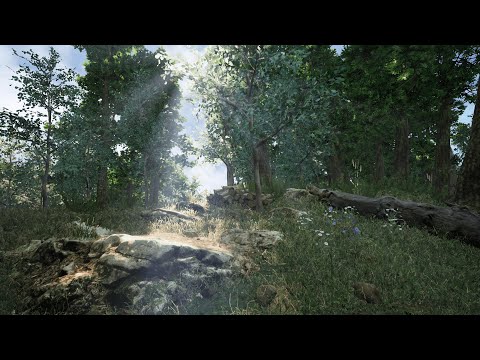 Natural Environment | Unreal Engine | Real time lighting | Photorealistic