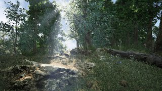 Natural Environment | Unreal Engine | Real time lighting | Photorealistic