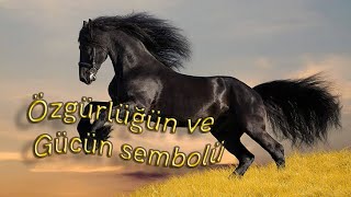 ''Atlara Dair Her Şey: Sağlık,Eğitim, ve Binicilik Tutkusunu Keşfedin!