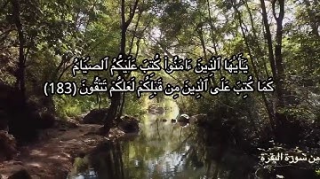 ما تيسر من #سورة_البقرة (يا أيها الذين آمنوا كتب عليكم الصيام)