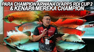 WHAT MAKES AN ARWANA A CHAMPION? LET'S DISCUSS & EXPLODE!