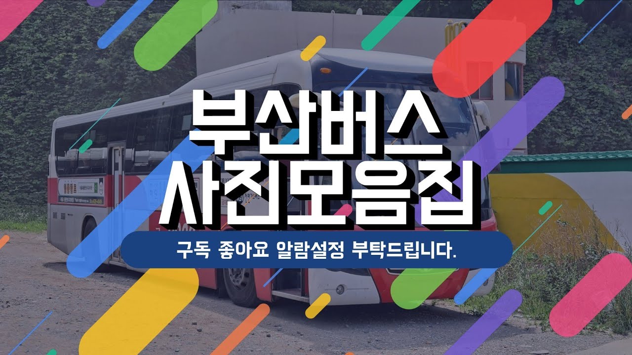 부산버스사진