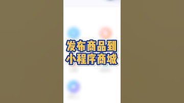 制作小程序商城，注册小程序成功后，先发布商品，新建分类，填写商品信息并上传图片，确认发布_轻栈教程