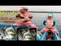 JACKPOT|GINTO-GINTO|[UG-OG FISHING| HOOK AND LINE FISHING|PHILIPPINES TRADITIONAL WAY OF FISHING