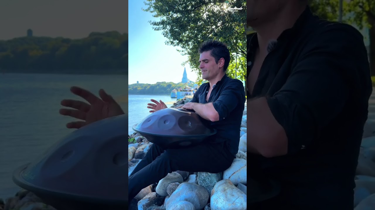 🎶Emotion Handpan - LombardoHandpan D minor 14 notes #handpan #hangdrum #pantam