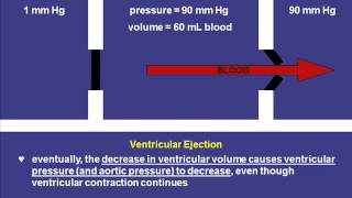 Cardiac Cycle Part 2: Illustrated